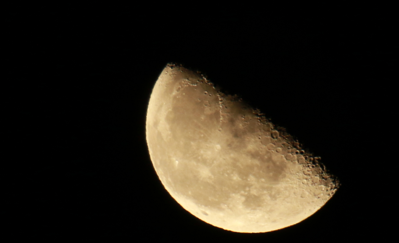 7D206603 (002) Mond